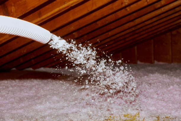 Best Insulation Contractors for Homes  in Glenwood, GA