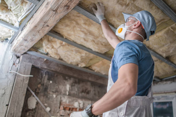 Best Residential Insulation Services  in Glenwood, GA